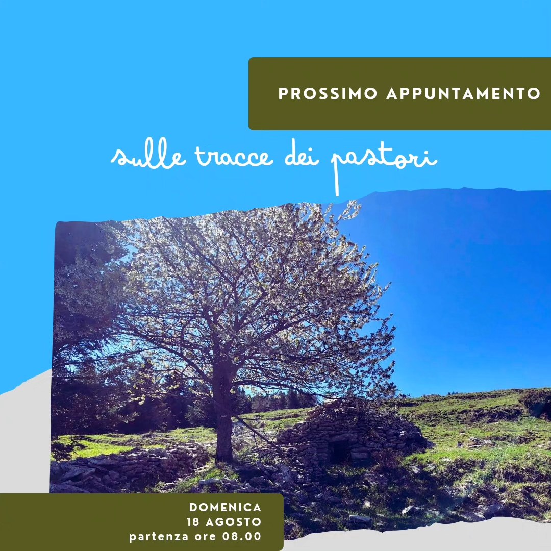 locandina