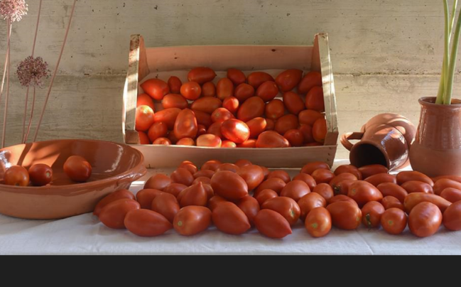 pomodori