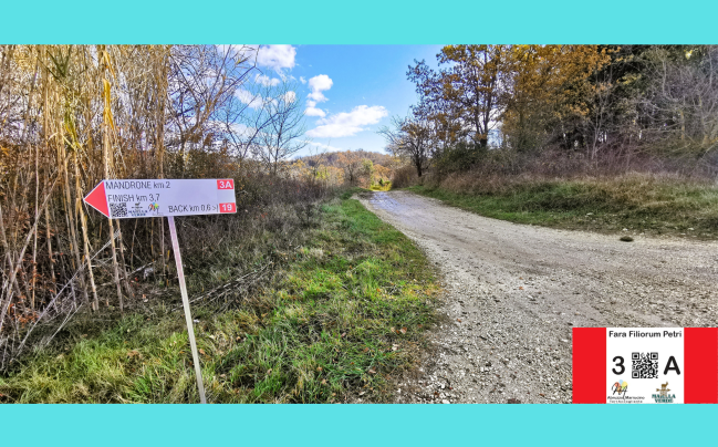 3A Fara Filiorum Petri Itinerario