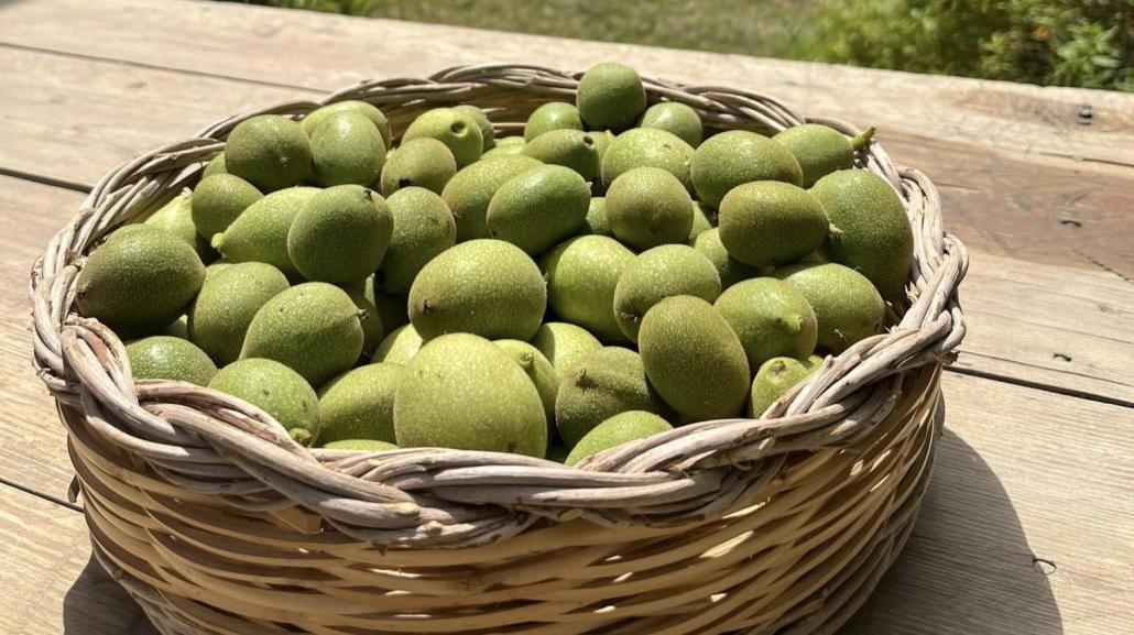 Le noci raccolte il 23 giugno