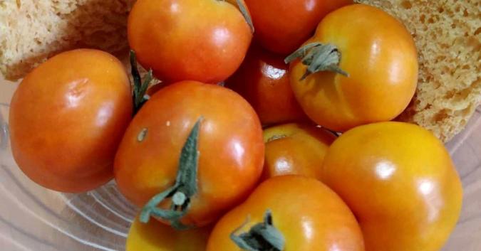 pomodoro Giallorosso