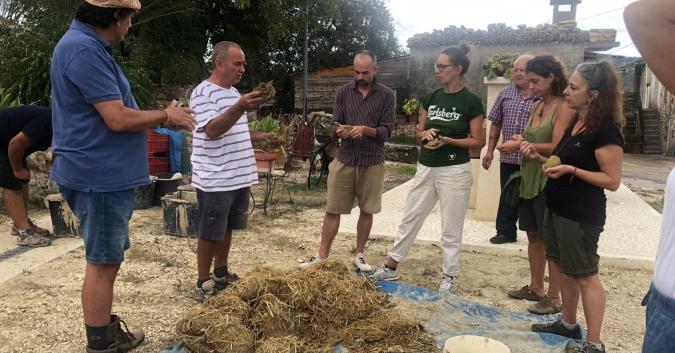 Laboratorio sulla costruzione del forno di comunità