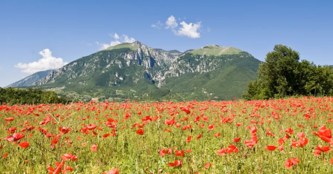 la piana di Caprafico