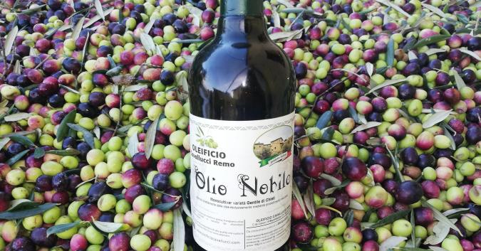 olive del nostro territorio sapientemente coltivate e raccolte
