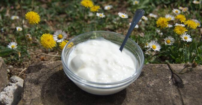 Yogurt a coagulo intero, degustato con della frutta fresca, del miele o delle confetture.