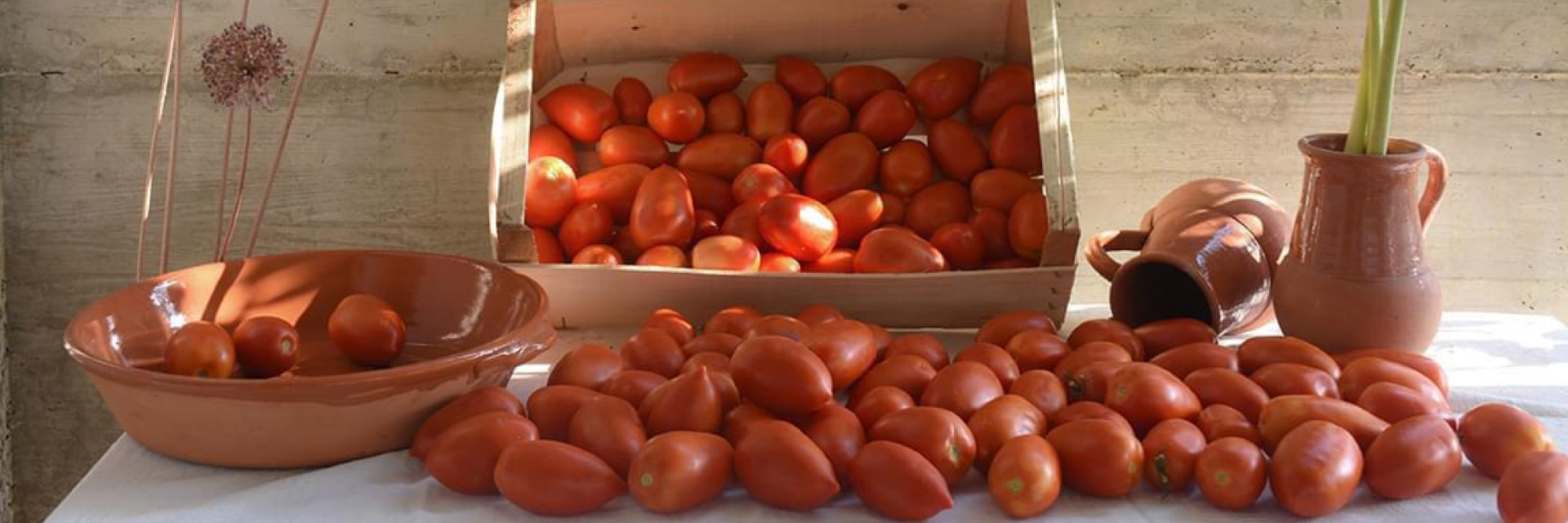 pomodori