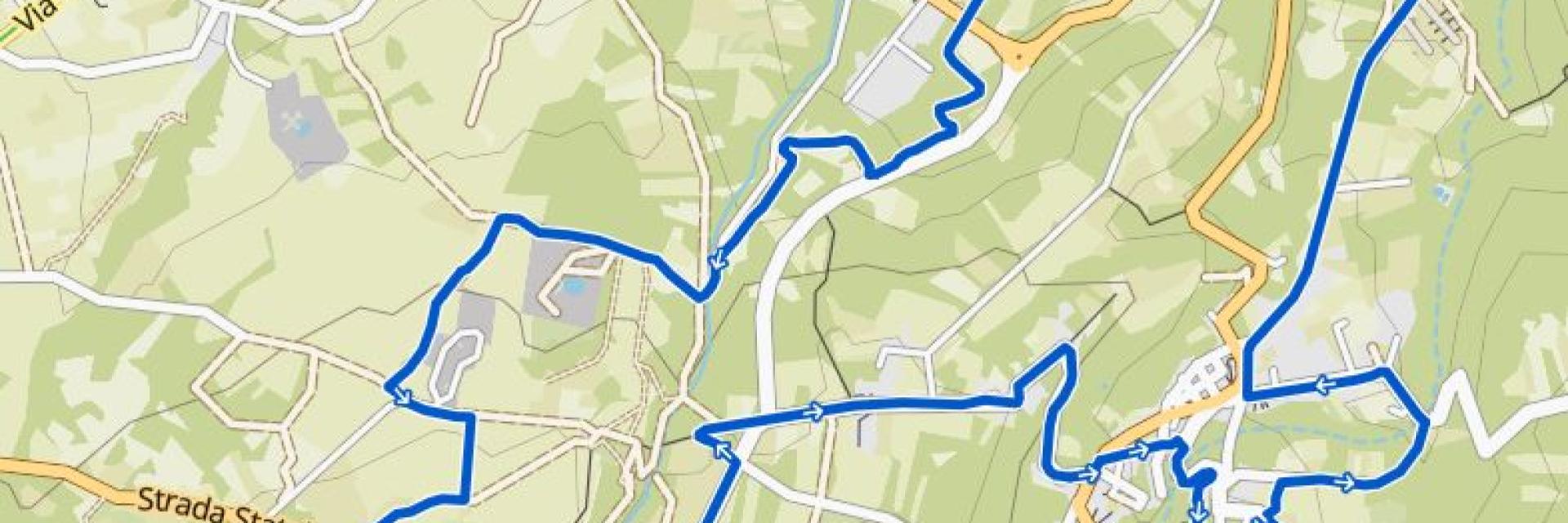 Rapino